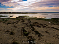 Seaweed on mudflats