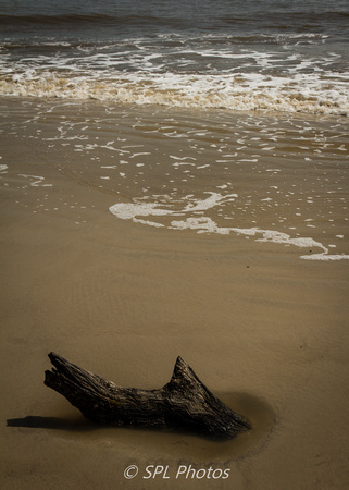 Driftwood Beach 2