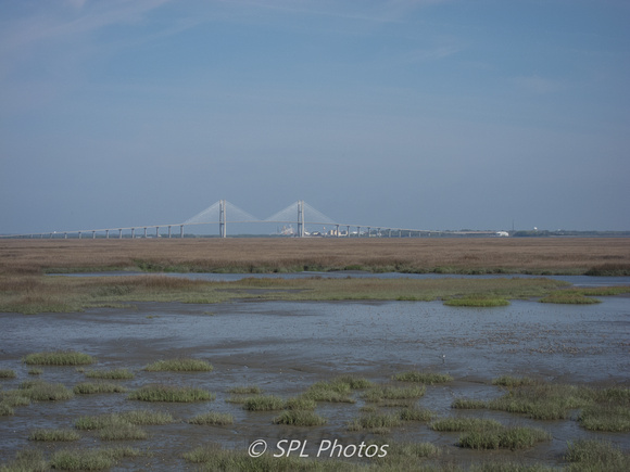 The Bridge across the marsh