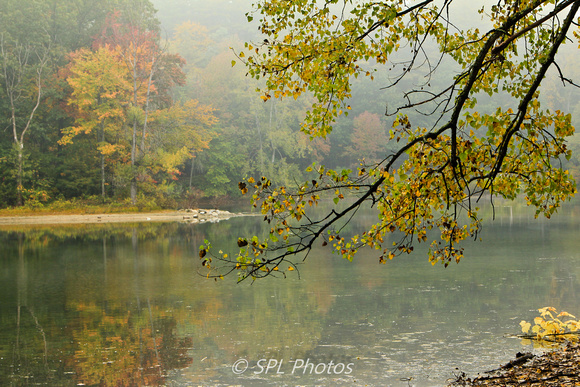 Fall Scene, Moreau Lake